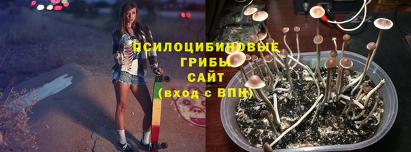COCAINE Богородск